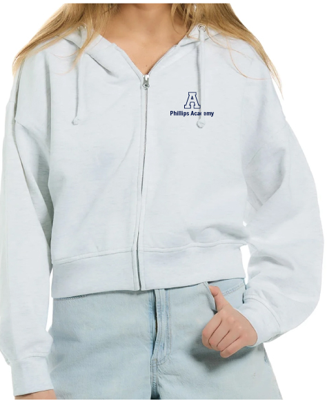 ESsports EYFL-3264 Ladies 1/4zip hoddie- Ash | PSPA Campus
