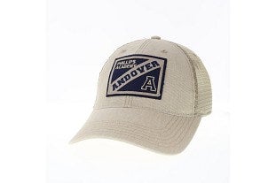 Cap - Dashboard Trucker DTA - Stone | PSPA Campus Closet