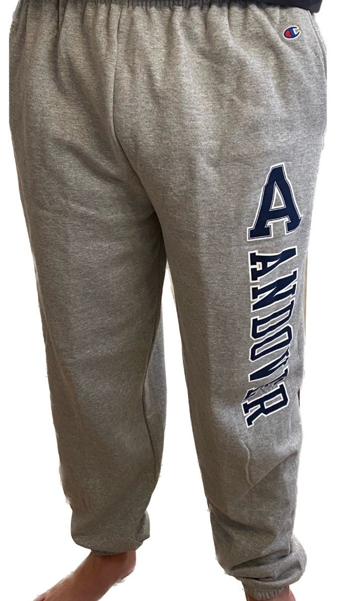 Champion powerblend 2024 banded pant